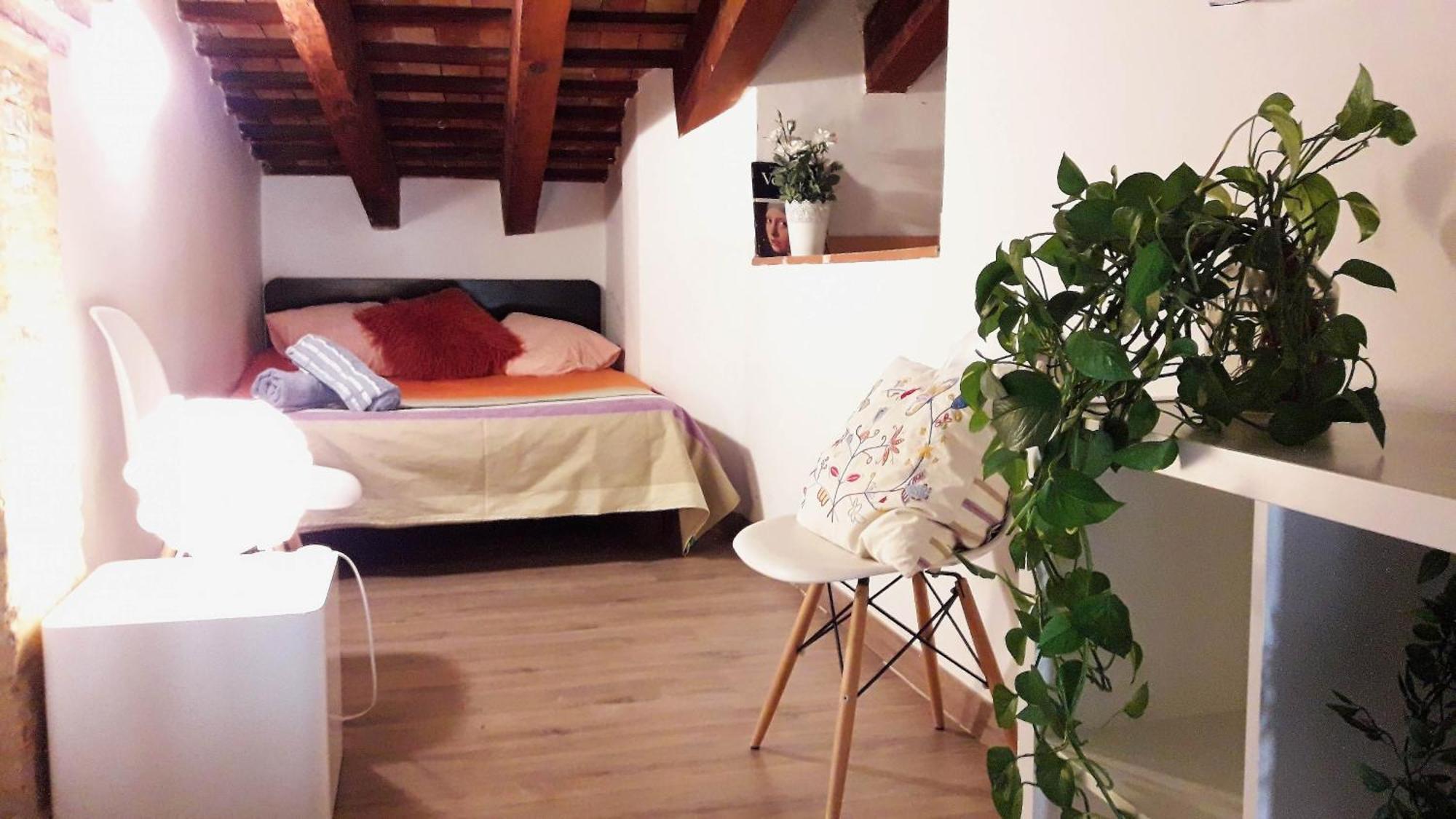 Apartamentos Centricos Barrio Del Carmen 瓦伦西亚 外观 照片