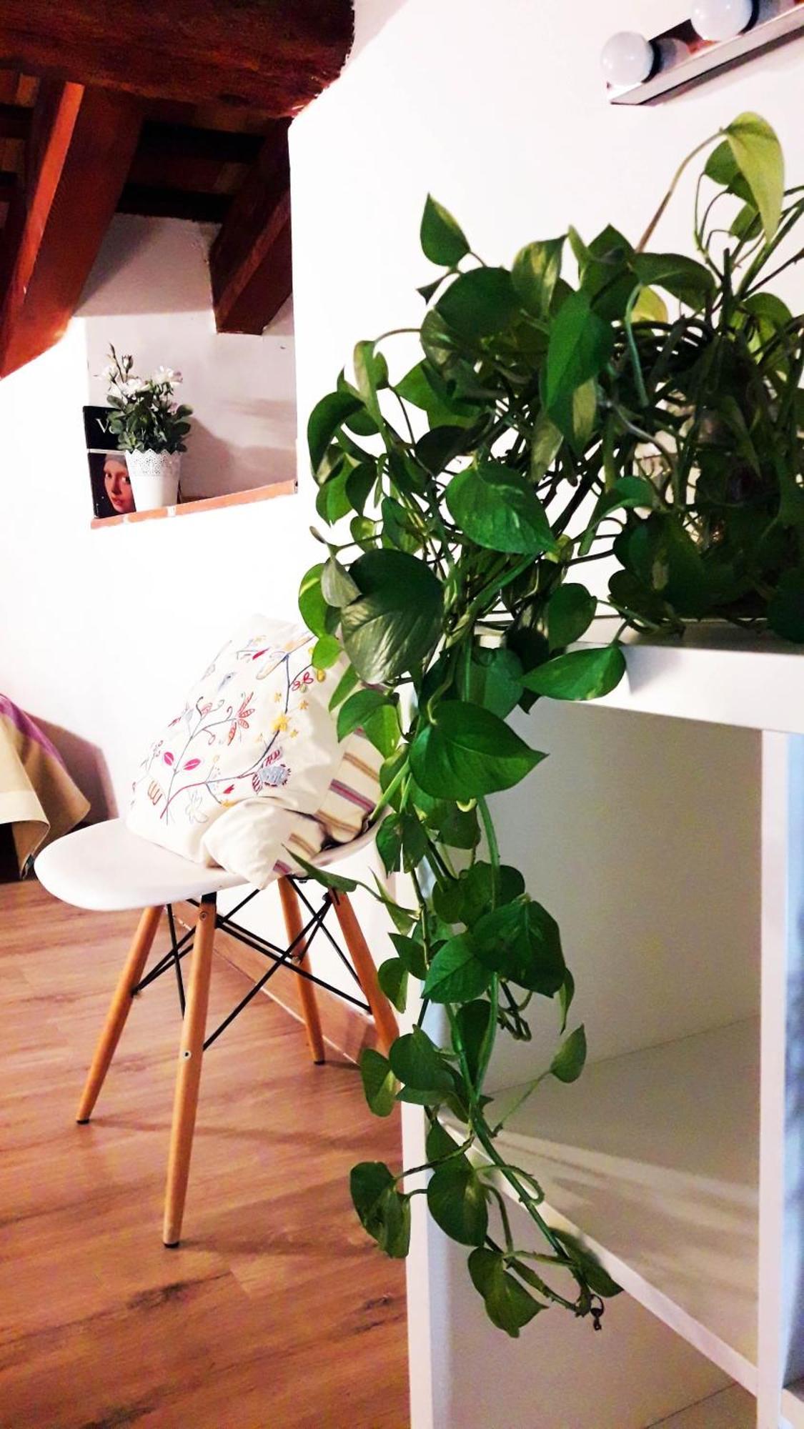 Apartamentos Centricos Barrio Del Carmen 瓦伦西亚 外观 照片