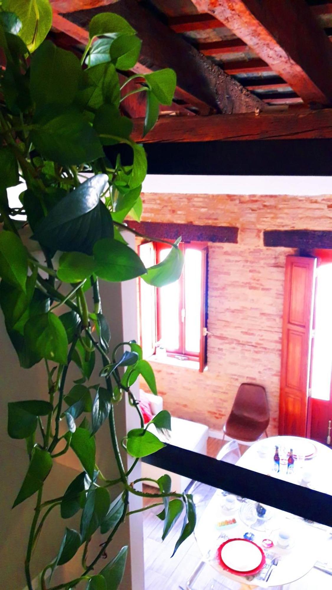Apartamentos Centricos Barrio Del Carmen 瓦伦西亚 外观 照片